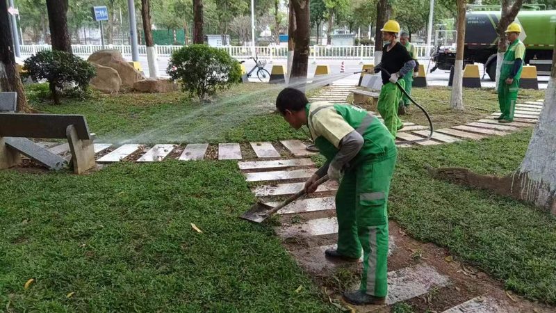 道路绿化设计规范：人行道绿化的关键要素