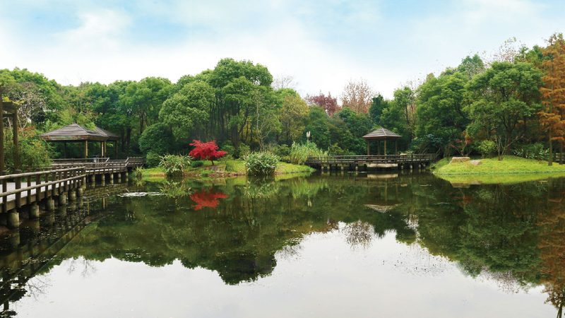 小区绿化设计：如何打造宜居生态家园**