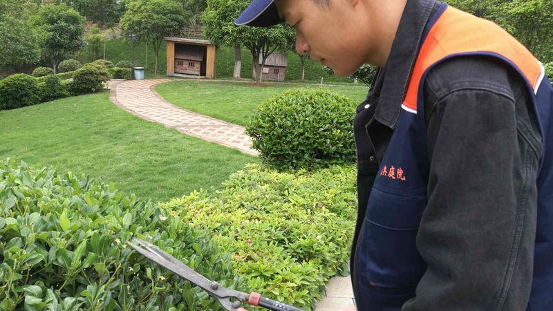小型苗木种植加盟，这些设备清单不可少**