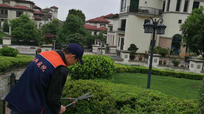 园林绿化养护技术规范解读：标准与要点**