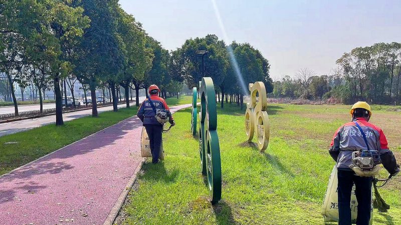 绿植租赁套餐：如何根据需求精准选择？**
