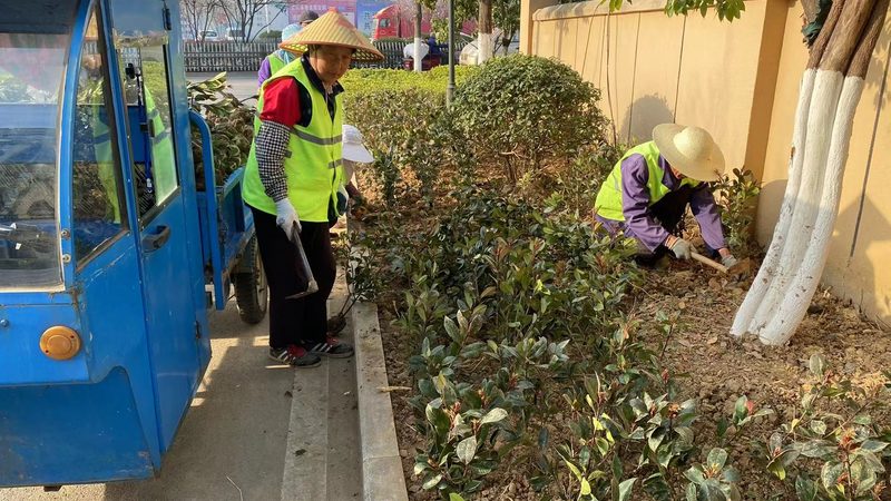 高尔夫球场草坪养护，这些方法流程你了解吗？**