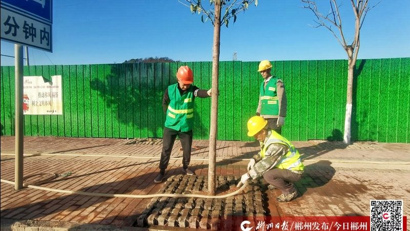 园林工程预算员：如何准确把握工程成本关键**