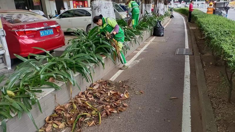 写字楼绿植租赁哪家便宜